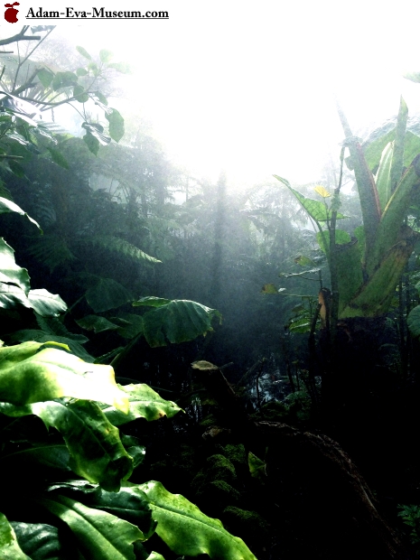 Garden of eden