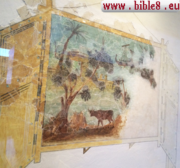 images/picture-big.jpg
