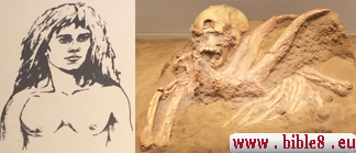 The skeleton of a boy